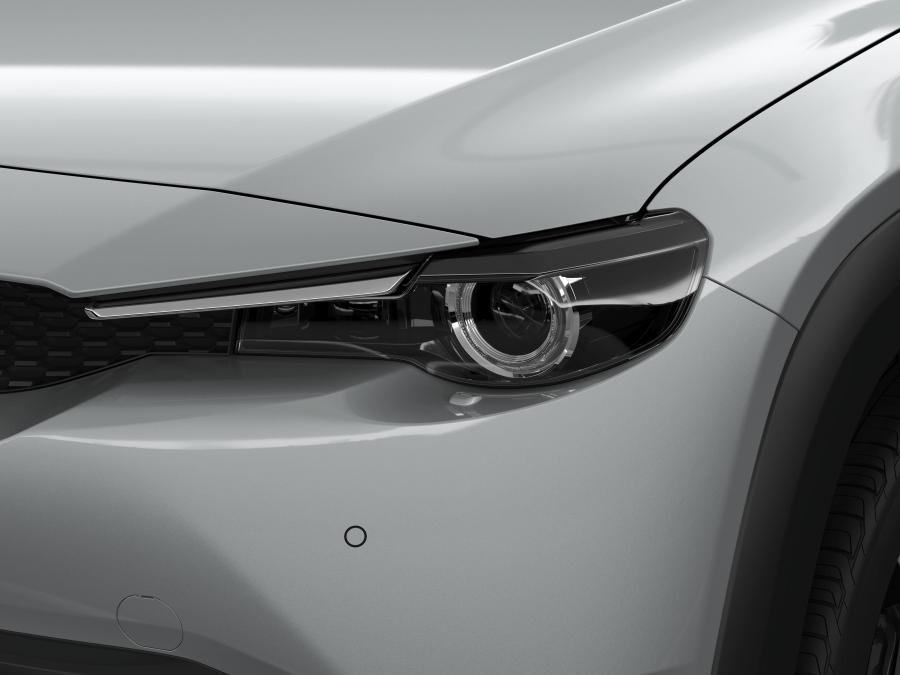 Детали экстерьера Mazda MX-30 2020 года  (WW) (фото 17 из 53)